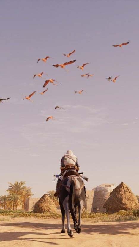 Assassin’s Creed wallpaper 0090