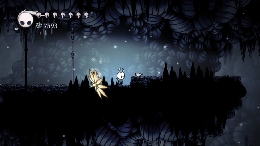 cute Hollow Knight character backgrounds