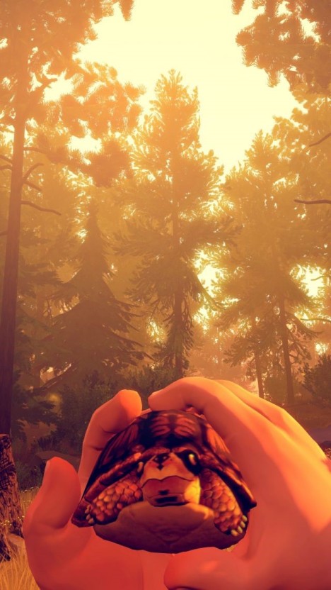 Firewatch wallpaper 0054