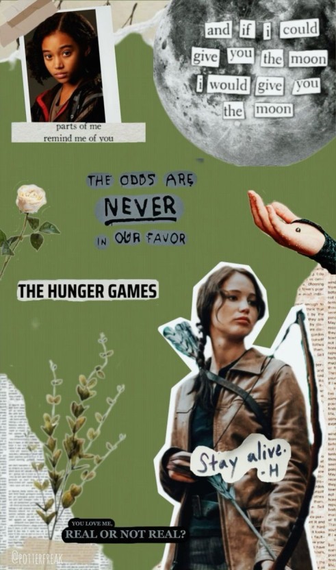 hunger games wallpaper 0068