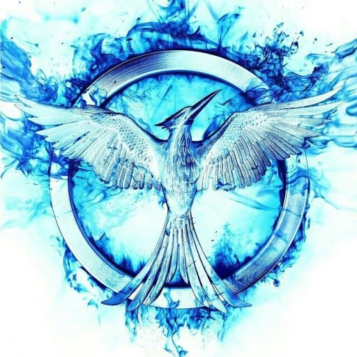 hunger games wallpaper 0078