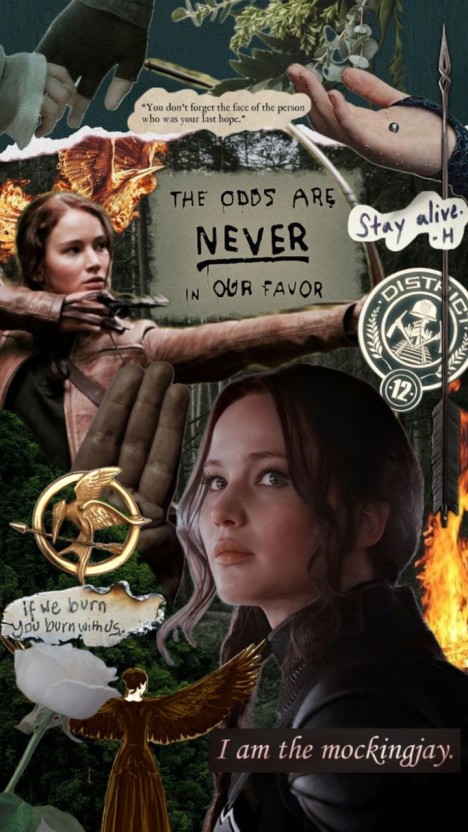 hunger games wallpaper 0099