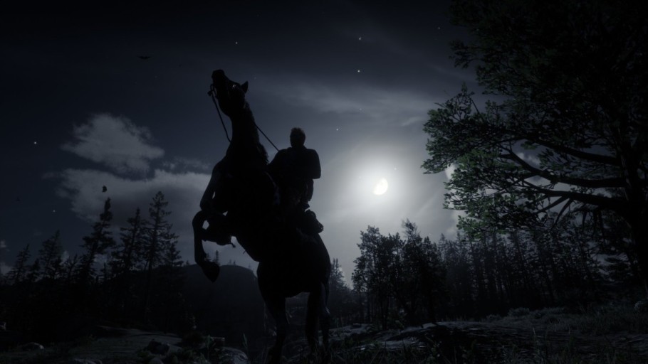 Red Dead Redemption 2 wallpaper 0025