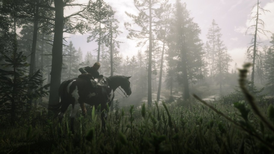 Red Dead Redemption 2 wallpaper 0028