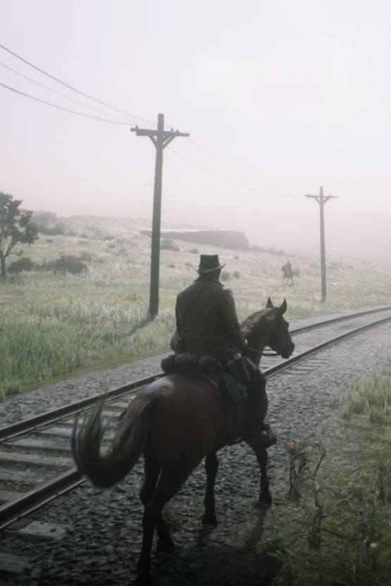 Red Dead Redemption 2 wallpaper 0070