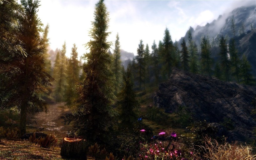 Skyrim wallpaper 0062