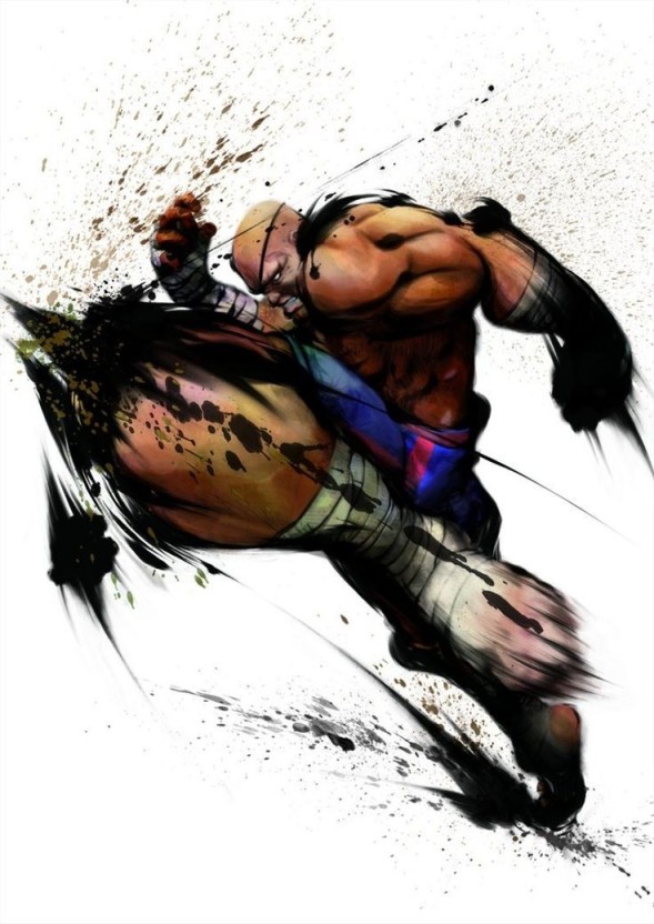 Street Fighter action wallpaper for gaming setup