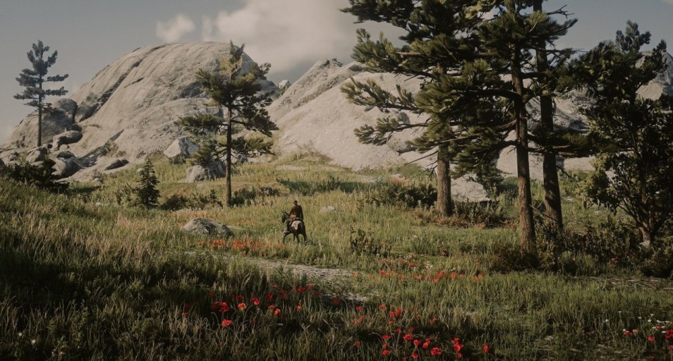 stunning Red Dead Redemption 2 wallpapers