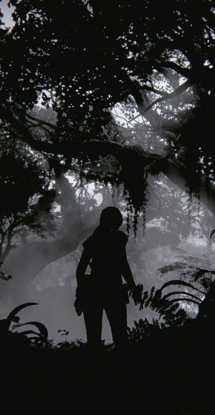 Tomb Raider wallpaper 0055